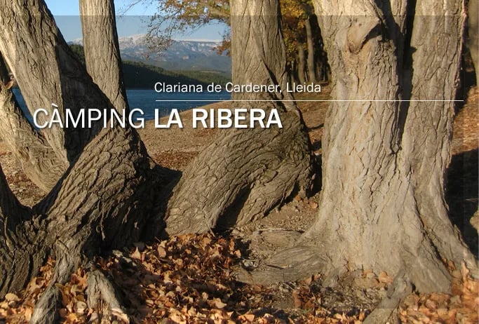 Camping La Ribera