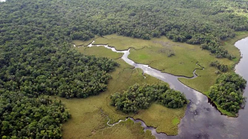 Paynes Prairie Preserve State Park Campground gallery 2