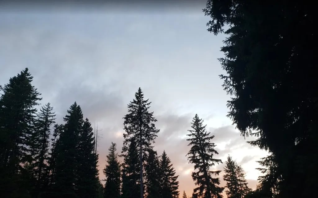 Cutsforth Park Campground gallery 3