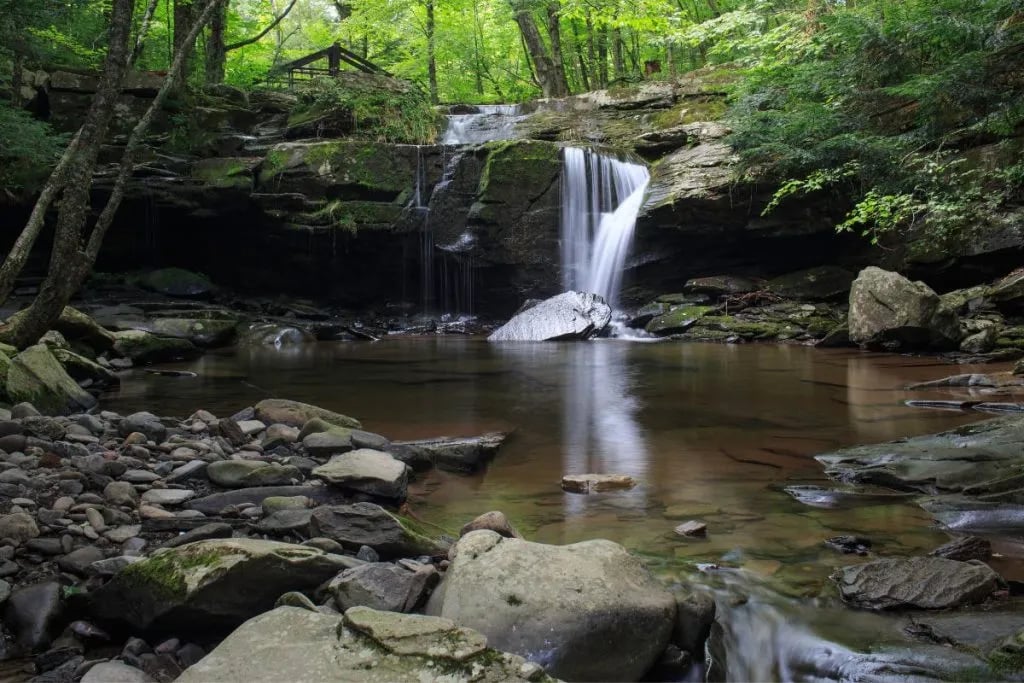 Camp Catskills gallery 2