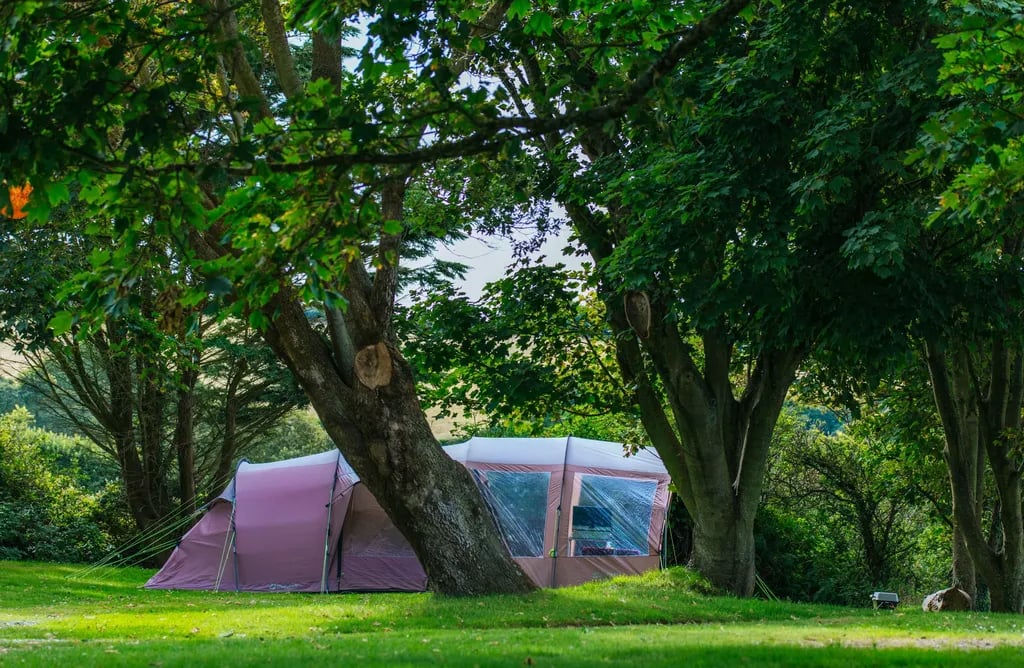 Little Meadow Caravan and Camping Site gallery 2