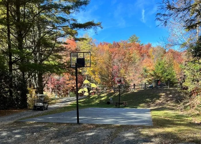 Spacious Skies Bear Den gallery 2