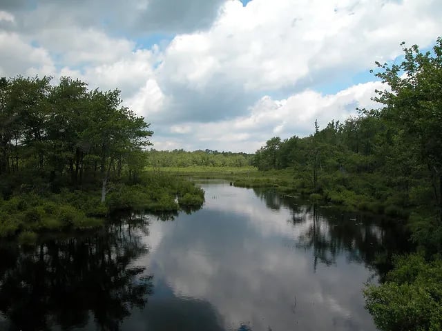 Tobyhanna State Park Campground