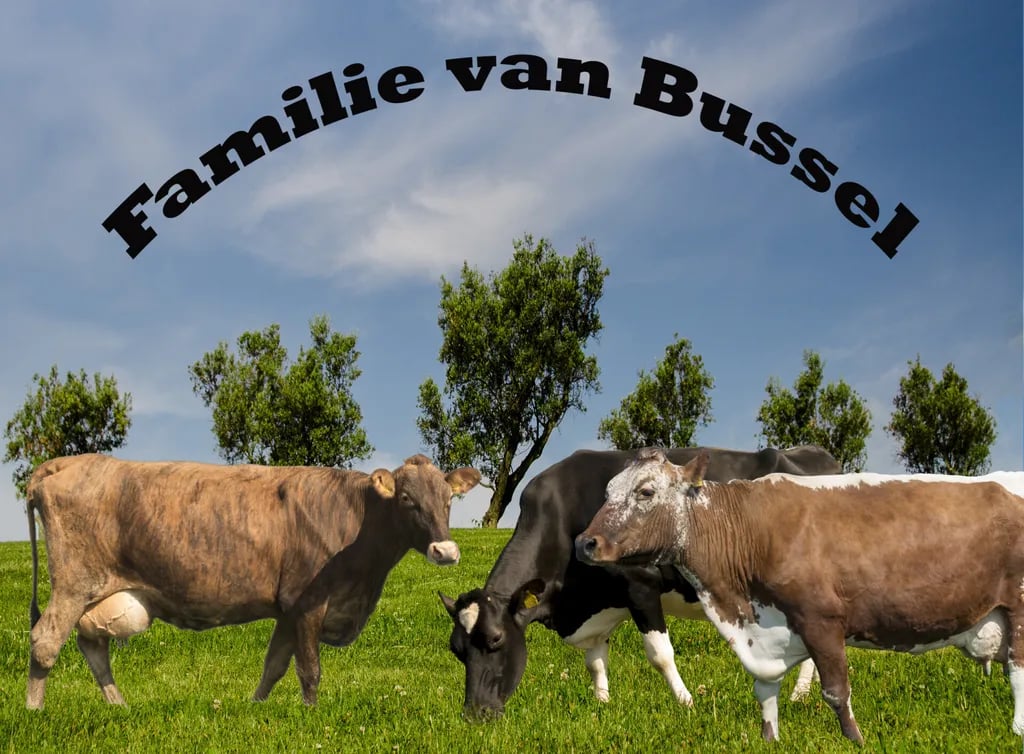 De Grote Leigraaf gallery 1