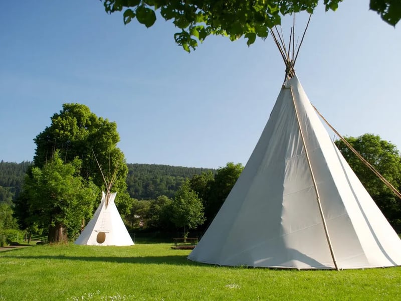 ODENWALD river camp – Campingplatz Neckargerach gallery 1