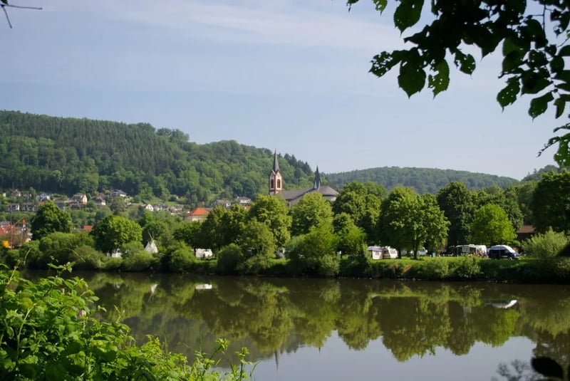 ODENWALD river camp – Campingplatz Neckargerach gallery 2