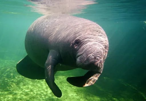 Sunny Sands Resort gallery 1