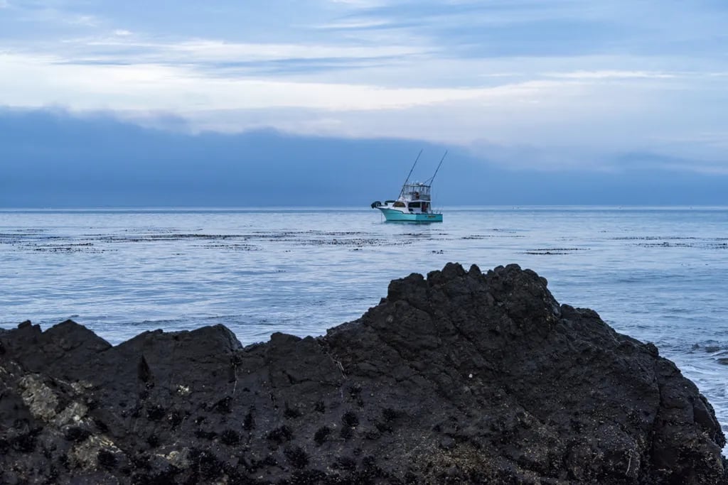 Washburn Primitive Campground — Hearst San Simeon State Park