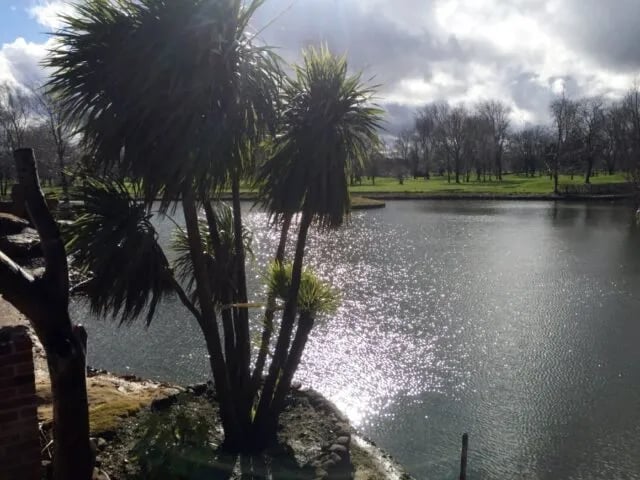 Wispy Meadows gallery 1