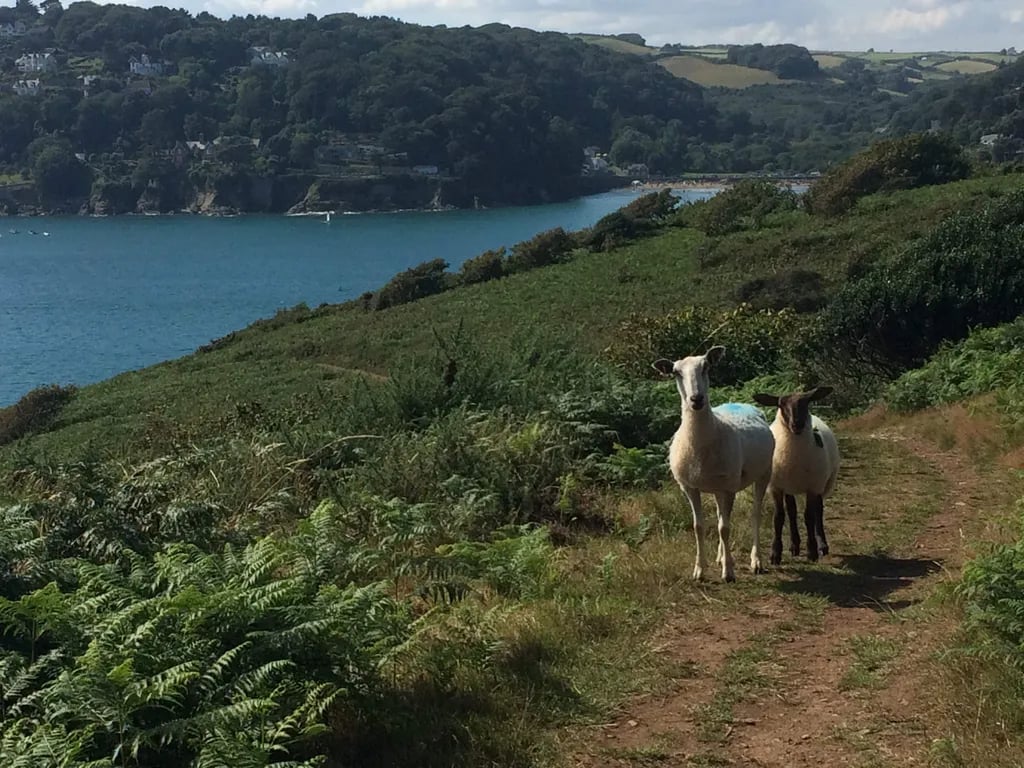 Wilton Farm gallery 2