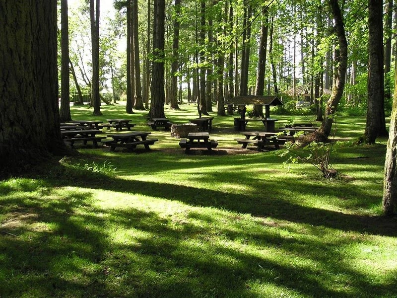 Waterloo County Park gallery 1