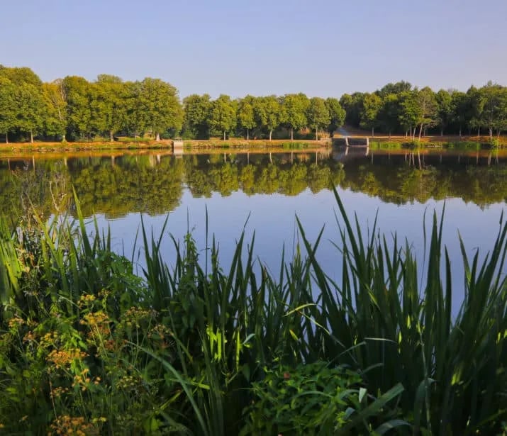 Camping Le Lac des Charmilles gallery 1