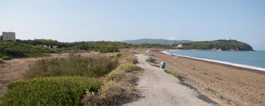 Agriturismo La Torraccia gallery 3