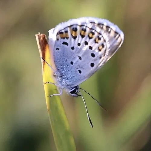 domaine Les Teuillères gallery 3