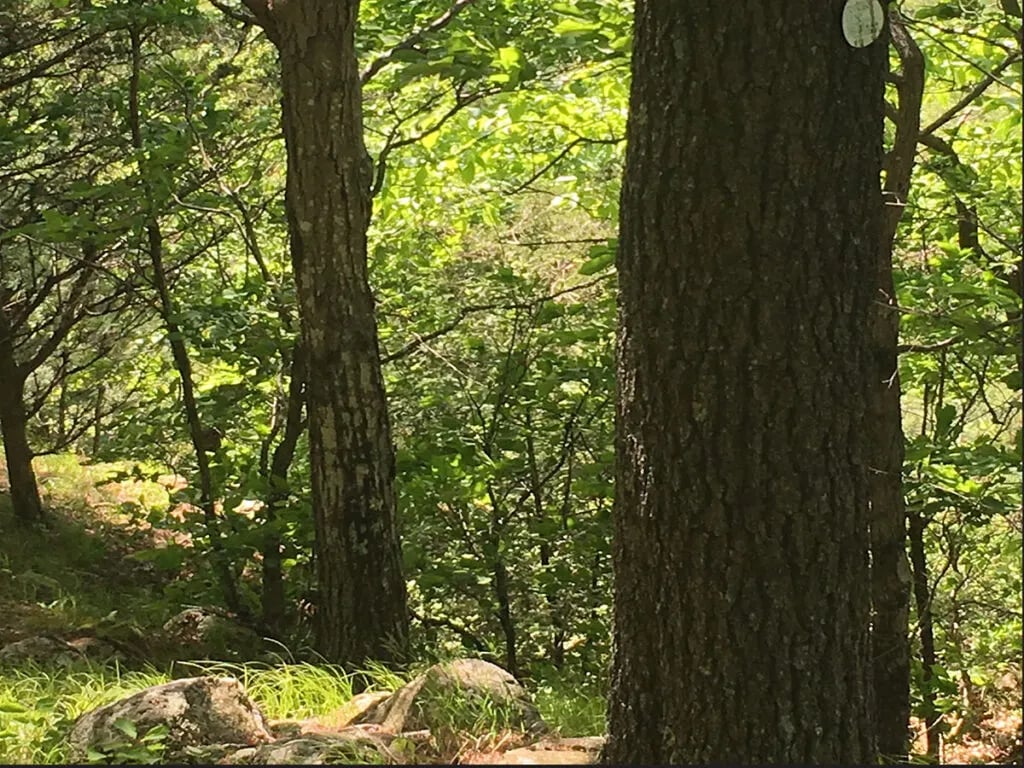 Hillsboro RV Park gallery 1