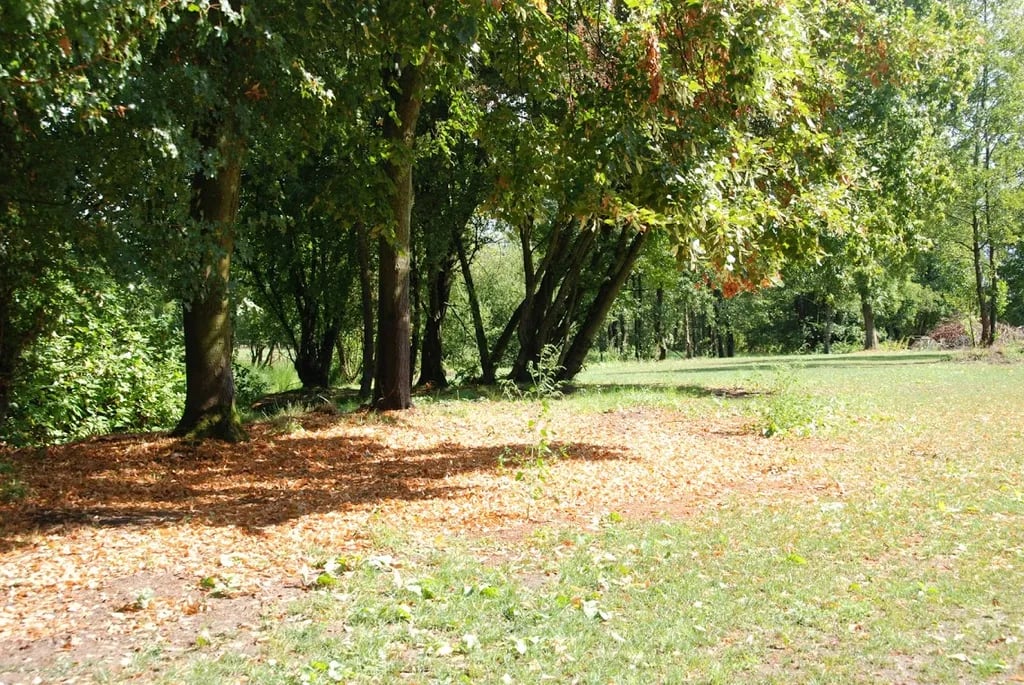 Camping Bos en Pingo gallery 3