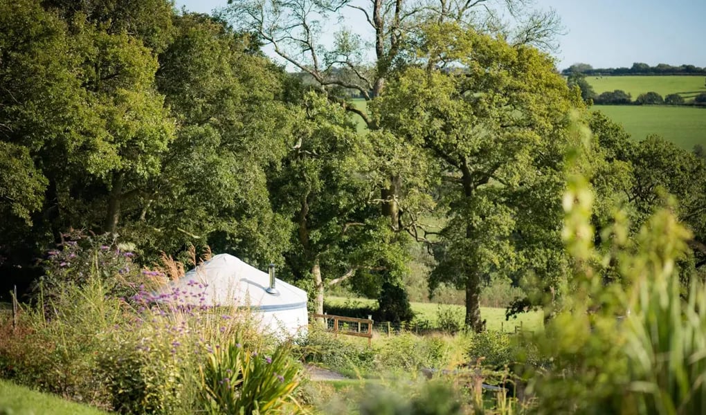 Fron Farm Yurt Retreat gallery 1