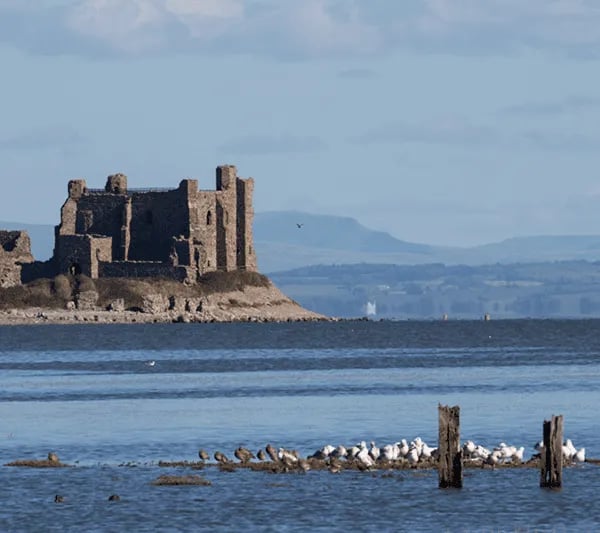 South End Caravan Park gallery 2