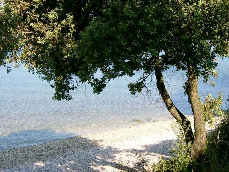 Camping Sidro