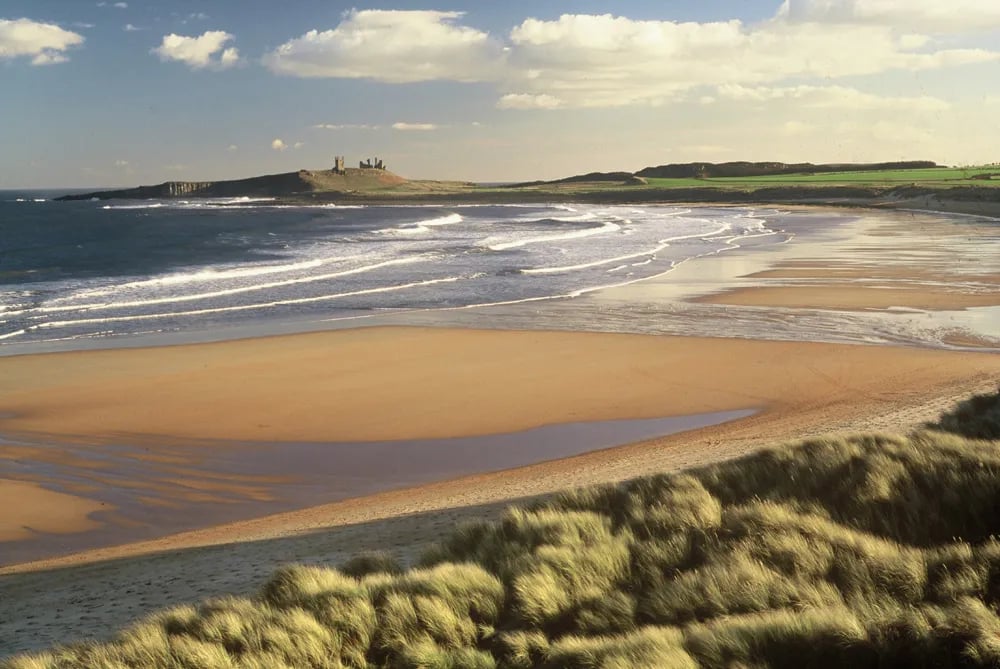 Proctors Stead Caravan Park gallery 2