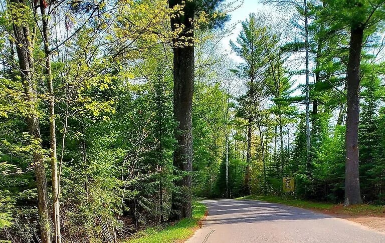 Indian Shores gallery 3