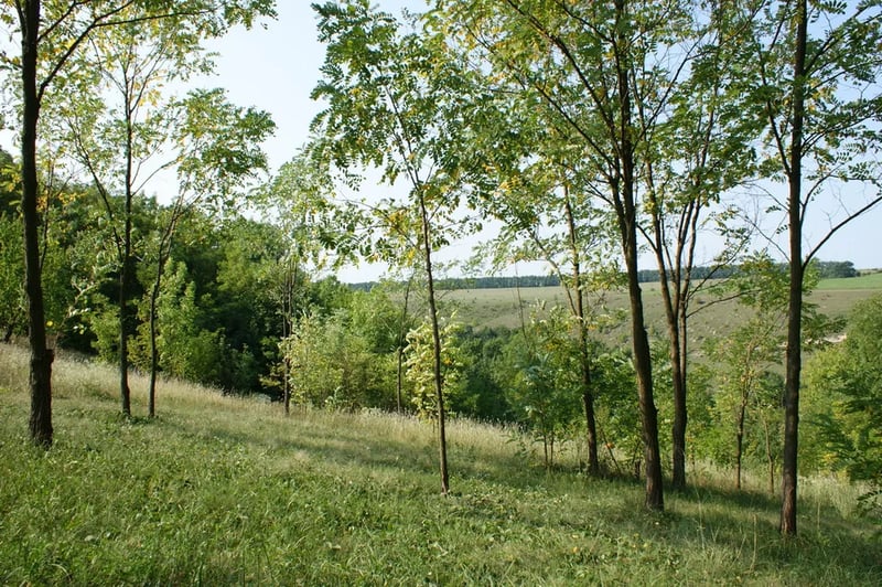 Camping Ruza Vetrova