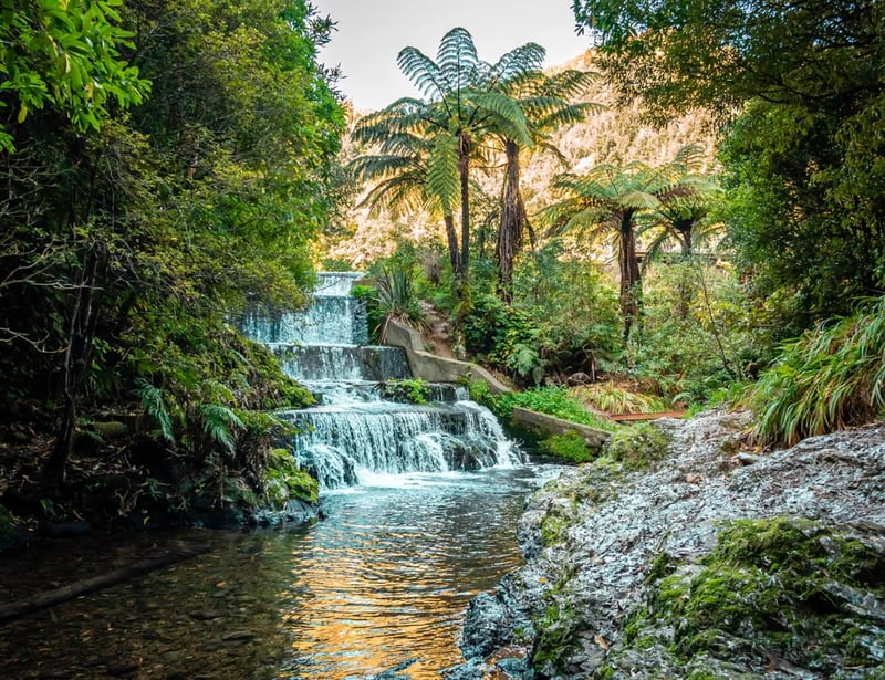 Belmont Regional Park