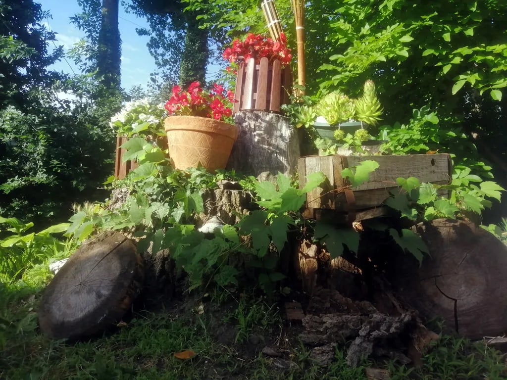 Camp Bezdan gallery 1