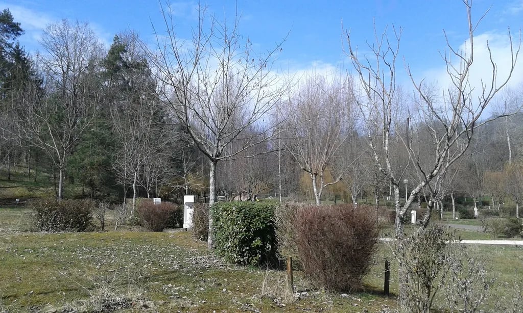 Camping Le Repaire gallery 2