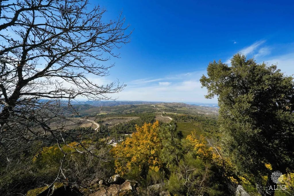 Parque de Campismo de Três Rios-maravilha gallery 2