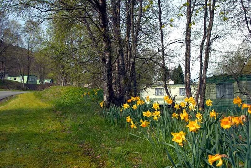 Glendochart Caravan Park gallery 1