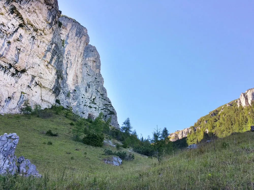 Camping Palafavera gallery 3