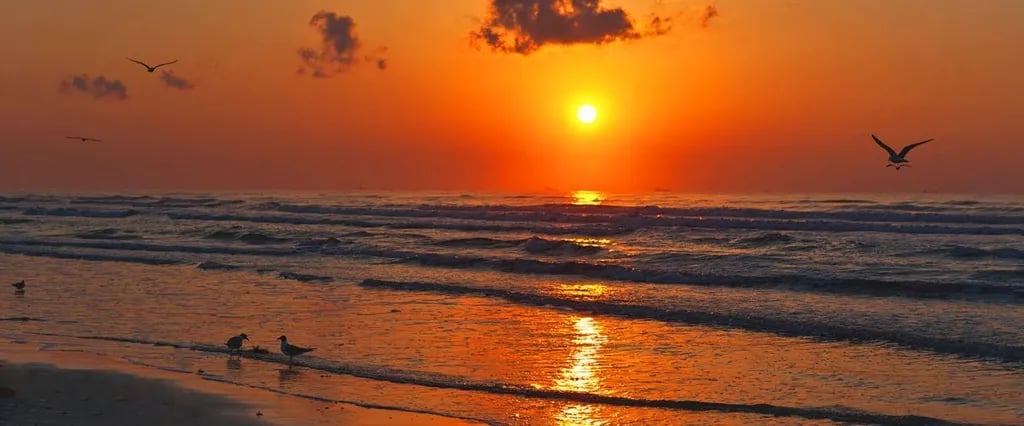 Pioneer Beach Resort gallery 3