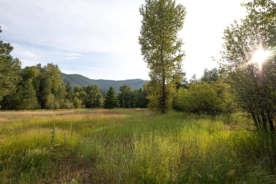 Beavertail Hill State Park gallery 3