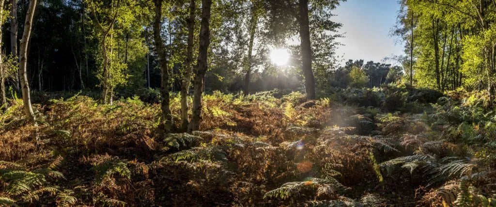 Thompson Hall Retreat gallery 1