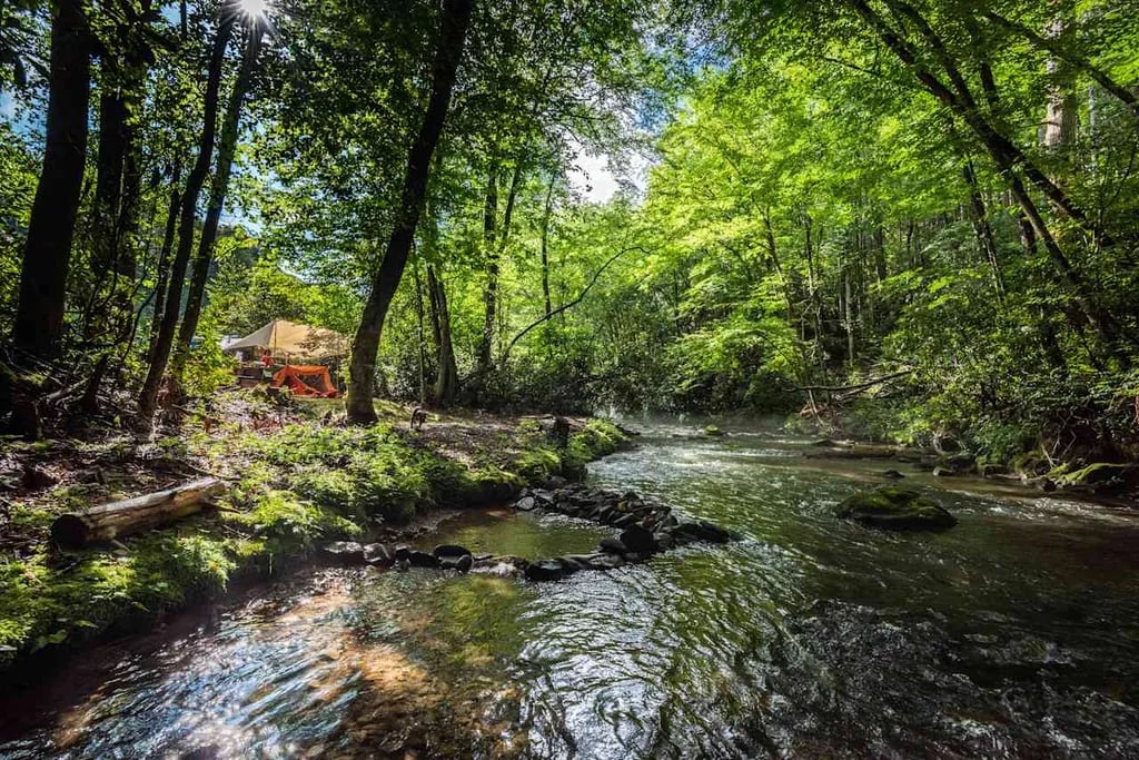 Snowbird Camping gallery 3