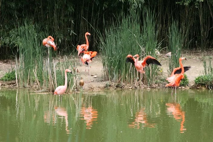 Camping G.C.U. gallery 2