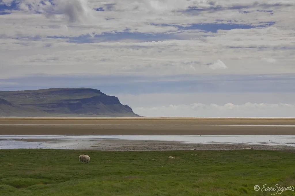 Tjaldsvæðið Hótel Flókalundi gallery 3