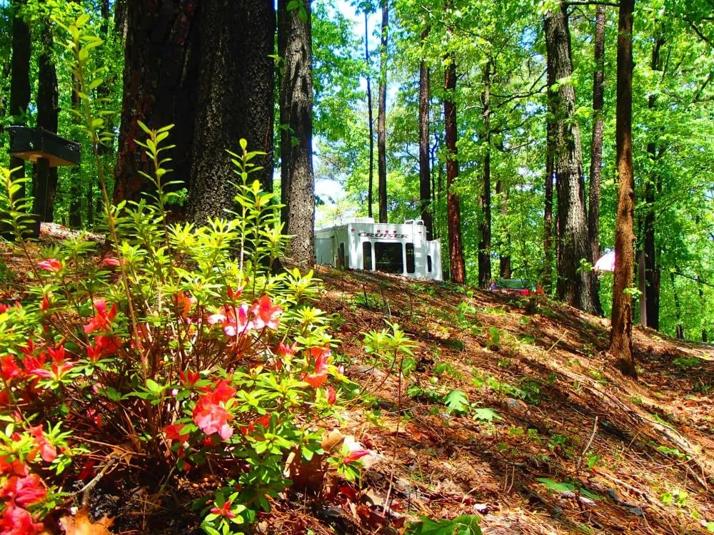 Naval Recreation Site gallery 1