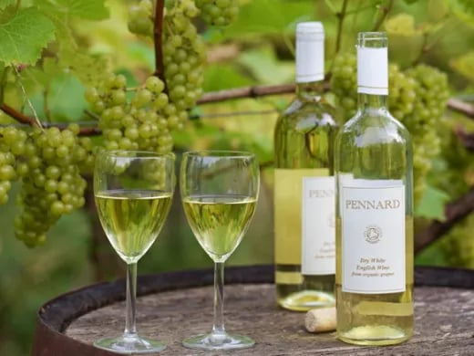 Land & Sky Luxury Camping gallery 1