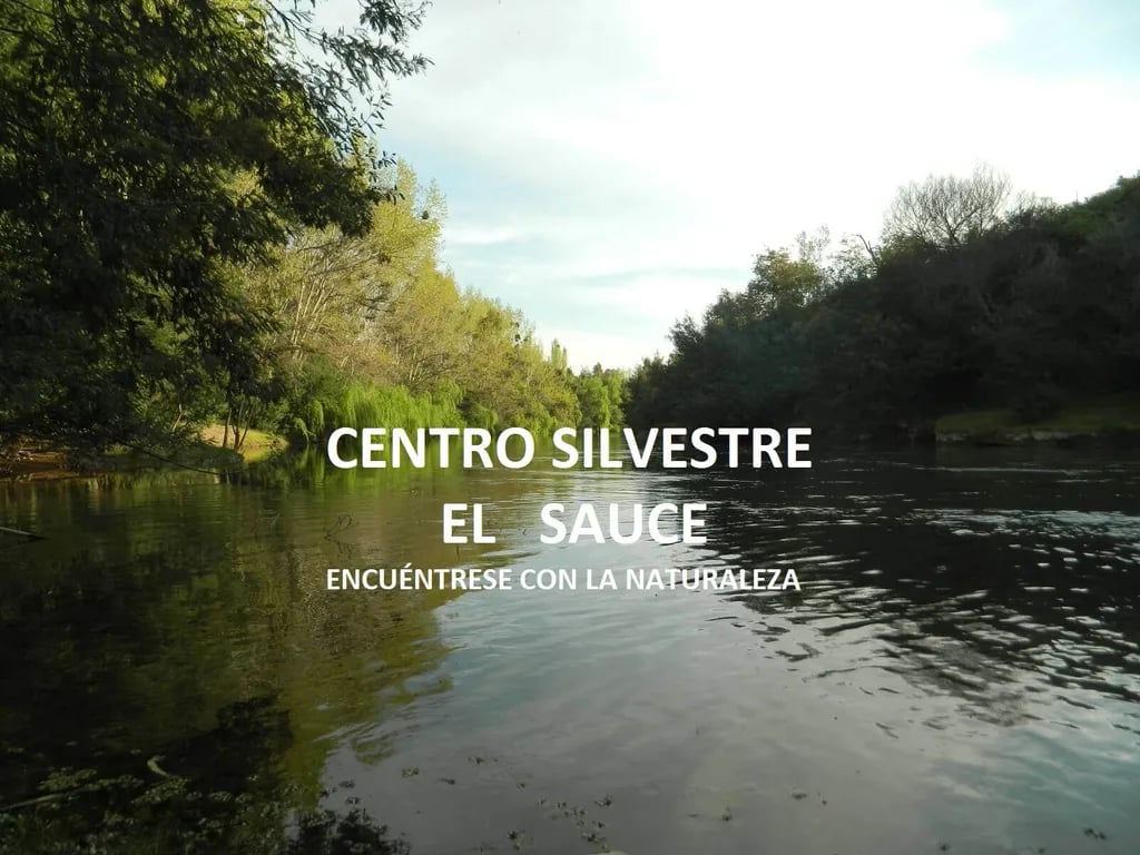 Centro Silvestre El Sauce gallery 1