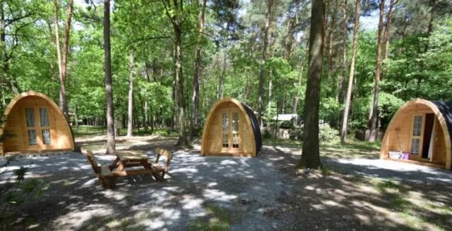 Campingplatz Deutschbaselitz gallery 3