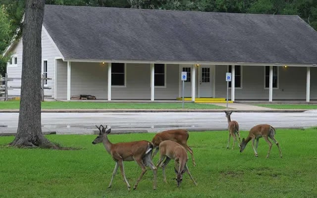 Houston West RV Park gallery 3