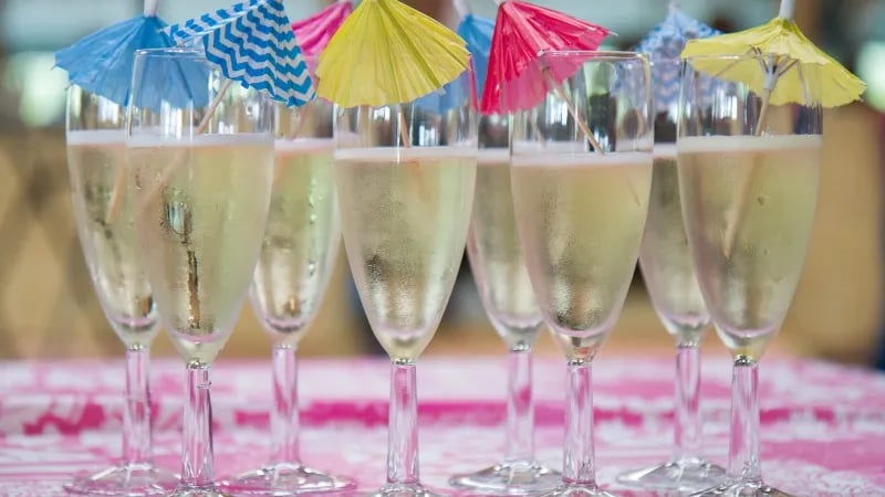 Hayema Heerd gallery 2