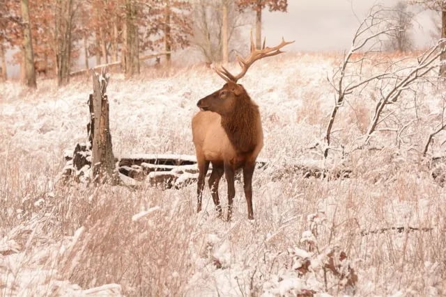Land Between The Lakes National Recreation Area Turkey Bay OHV Area gallery 3