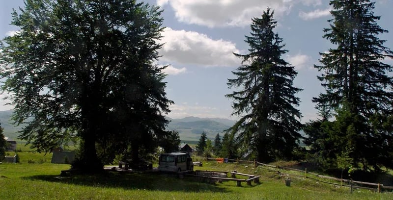 Camp Kod Boce