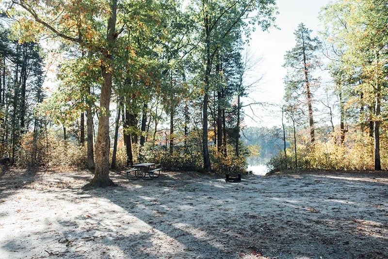 Atsion Cabins — Wharton State Forest