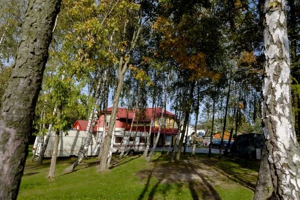 Camping **** “Pod Brzozami” – Unter den Birken gallery 3