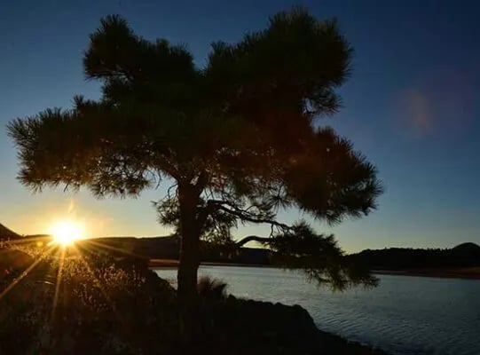 Concho Lake Recreation Area gallery 2