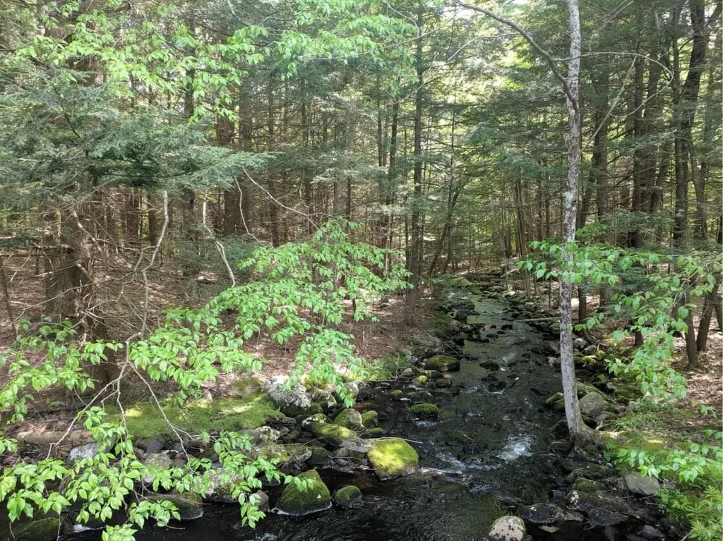 Alps Family Campground